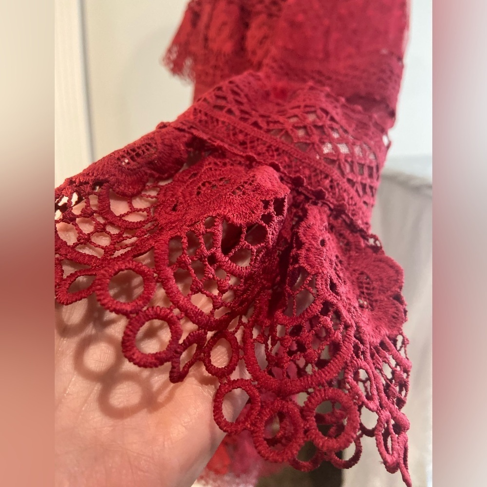 L & F~NWT~Lovely~Tiered Ruffle~Sheer Netting~Embroidered Lace~Mini Dress~Size S - Picture 9 of 15